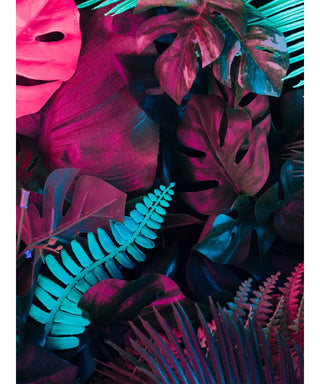 Maison Crivelli Ambre Chromatique 50 ml N05701