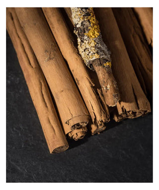 Maison Crivelli Bois Datchaï 100 ml N05702