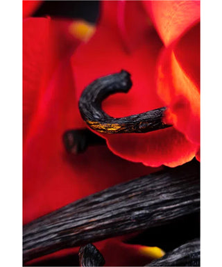 Maison Crivelli Hibiscus Mahajad 50 ml N05705