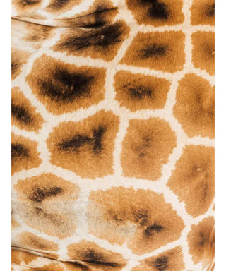 Maison Crivelli Neroli Nasimba 100 ml N05708