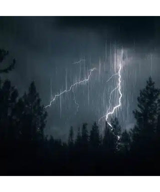 Maison Crivelli Patchouli Magnetik 50 ml N05712-01