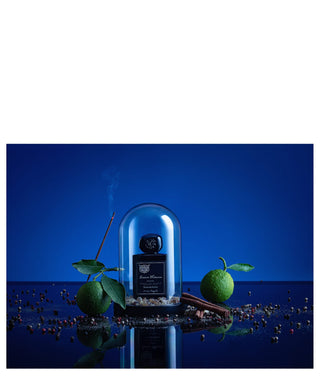Lorenzo Pazzaglia Incenso Notturno 50 ml N06155_amb