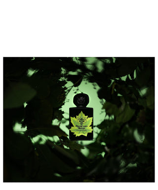 Lorenzo pazzaglia Dangerous Maryx 50 ml  N06156_amb