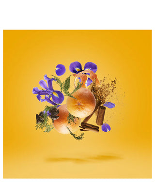 Xerjoff Sketchbook P.33 100 ml N06170 amb1