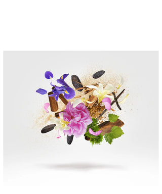 Xerjoff Gibeon 50 ml N06171-amb