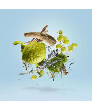 Casamorati Mefisto Gentiluomo 100 ml N06179-01-amb2