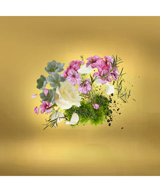 Casamorati CasafuturaN06183-01-amb2