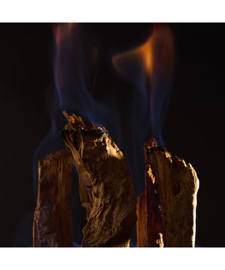 Maison Crivelli Oud Stallion 50 ml N06187_amb1