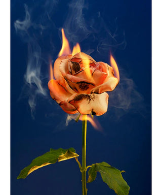 Maison Crivelli Oud Maracuja 190 gr N06191_amb