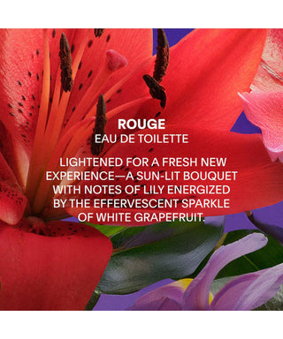 Balmain Rouge EDT 50 ml N06247-01-amb