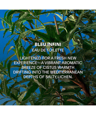 Balmain Bleu Infini EDT 50 ml N06248-01-amb