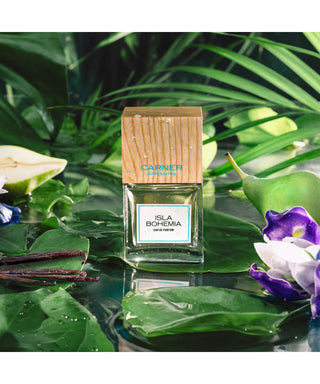 Carnel Barcelona Isla Bohemia Eau de Parfum 50 ml Flacone profumo N06487-01-AMB