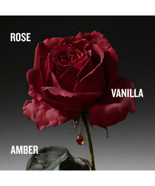 Penhaligon's The Coveted Duchess Rose Intense Eau de Parfum 75 ml Note profumo N06698-01-AMB