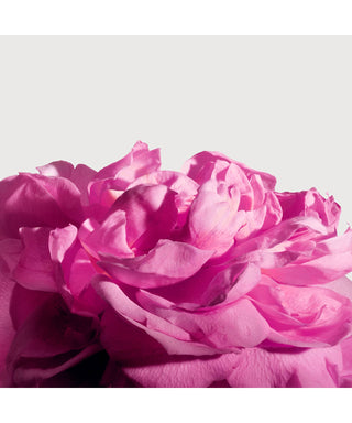 Matiere premiere Radical Rose Extrait de Parfum Flacone profumo N06784-amb