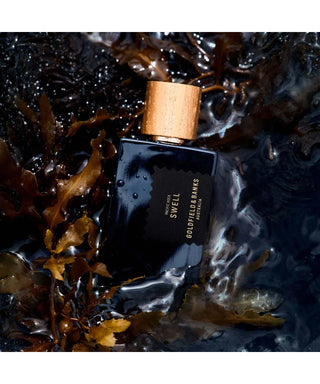 Goldfield & Banks Pacific Rock Swell Extrait de Parfum 50 ml N06863-01-AMB3